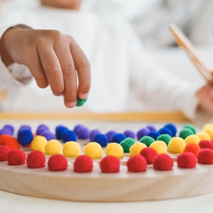 Montessori color sorting rainbow board Montessori wood toys Montessori materials occupational therapy fine motor skills image 2