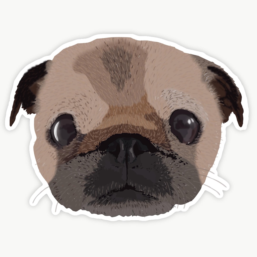 Funny Pug Vinyl Sticker – Water Resistant Dog Lover Decal - Etsy