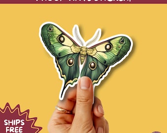 LUNA MOTH STICKERS | moth, sticker, luna moth, moon moth, cottage core, large moth, insect sticker, laptop sticker,