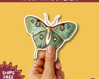 LUNA MOTH STICKERS | moth, sticker, luna moth, moon moth, cottage core, large moth, insect sticker, laptop sticker,