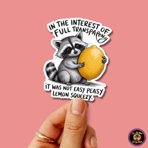 RACCOON STICKER | funny sticker, laptop sticker, stickers, stickers for hydro, vinyl stickers, meme sticker, water bottle sticker