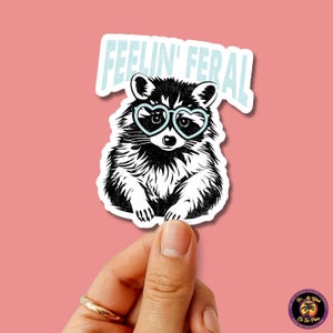 RACCOON STICKER | funny sticker, laptop sticker, stickers, stickers for hydro, vinyl stickers, meme sticker, water bottle sticker