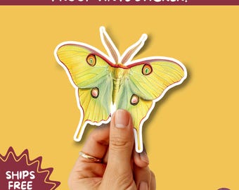 LUNA MOTH STICKERS | moth, sticker, luna moth, moon moth, cottage core, large moth, insect sticker, laptop sticker,