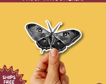 LUNA MOTH STICKERS | moth, sticker, luna moth, moon moth, cottage core, large moth, insect sticker, laptop sticker,