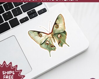 LUNA MOTH STICKERS | moth, sticker, luna moth, moon moth, cottage core, large moth, insect sticker, laptop sticker,