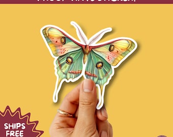 LUNA MOTH STICKERS | moth, sticker, luna moth, moon moth, cottage core, large moth, insect sticker, laptop sticker,