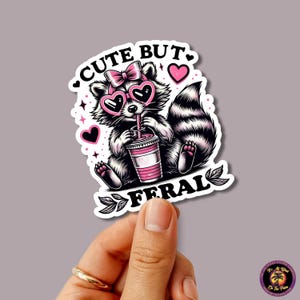 RACCOON STICKER | funny sticker, laptop sticker, stickers, stickers for hydro, vinyl stickers, meme sticker, water bottle sticker
