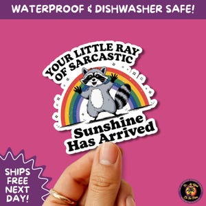 RACCOON STICKER | funny sticker, laptop sticker, stickers, stickers for hydro, vinyl stickers, meme sticker, water bottle sticker