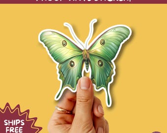 LUNA MOTH STICKERS | moth, sticker, luna moth, moon moth, cottage core, large moth, insect sticker, laptop sticker,