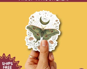 LUNA MOTH STICKERS | moth, sticker, luna moth, moon moth, cottage core, large moth, insect sticker, laptop sticker,