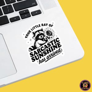 RACCOON STICKER | funny sticker, laptop sticker, stickers, stickers for hydro, vinyl stickers, meme sticker, water bottle sticker