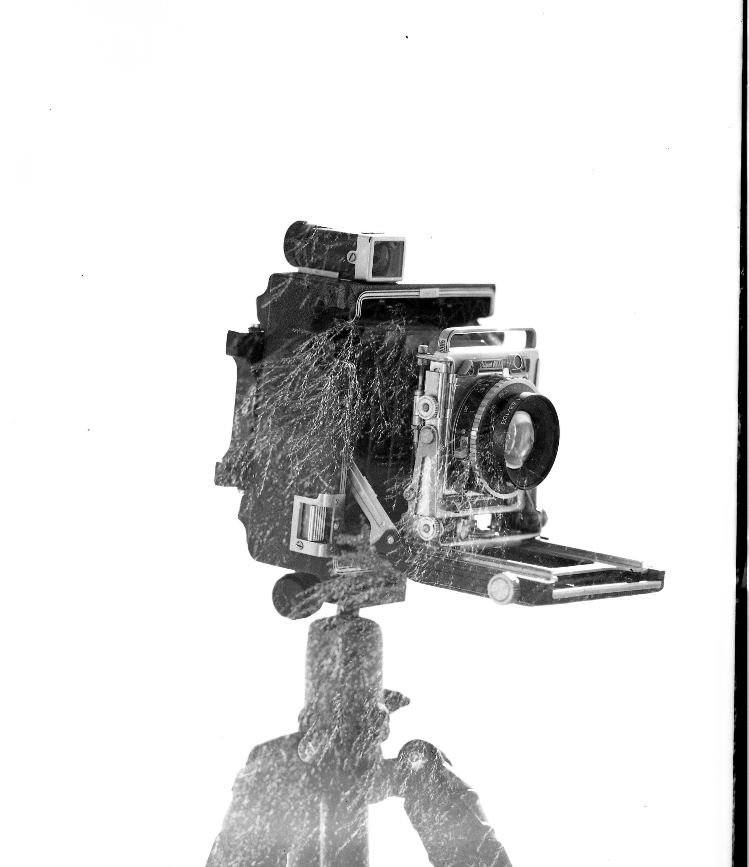 Graflex speed graphic 4x5 camera - Etsy 日本