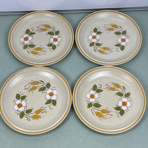 Hearthside Garden Festival Stoneware Dinner Plates Japan Floral Flowers Set Of 4