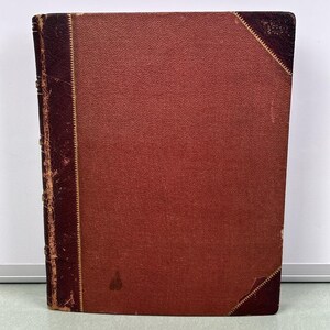 Álbum de fotos de cartão postal de pássaros e animais vintage RARO em relevo dos anos 1900