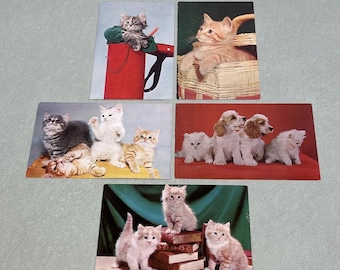 Vintage Cat Dog Postcard Lot Plastichrome Puss In Basket You Catched Me Ephemera