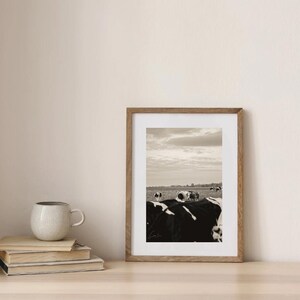 Impression d'affiche mate Peaceful Field of Cows