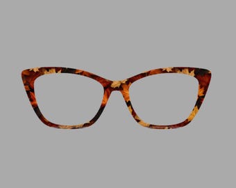 Magnetic Glasses fall B 32