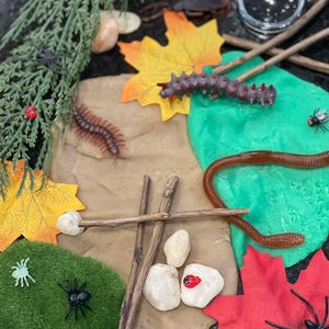 May include: A collection of toy insects, leaves, and natural elements arranged on a dark surface. Includes a green patch of faux grass, a red and black caterpillar, a brown earthworm, and a magnifying glass.
