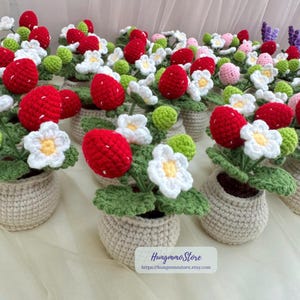 Crochet Strawberry Flower Pot, Handmade Crochet Plant, Desk Decor, Strawberry Decor Gift, Housewarming Gift, Birthday,Mother's Gift for Her