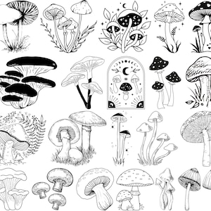 Puede incluir: Una colección de ilustraciones de setas en blanco y negro en varios estilos. Algunas setas están detalladas con patrones intrincados, mientras que otras son simplificadas. Las imágenes incluyen diferentes tipos de setas, algunas con hierba y hojas.
