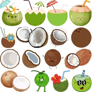 Coconut SVG Bundle, Cute Coconut Clipart PNG, Tropical Beach SVG, Summer Drink Vector, Coconut Designs for Cricut, Kawaii Coconut Svg