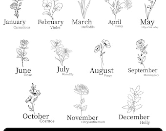 Pacchetto SVG di fiori del mese di nascita, clipart PNG di fiori di compleanno, svg botanico, svg di rosa, svg di papavero, svg floreale, SVG di fiori di campo, disegno floreale al tratto