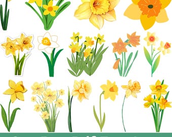 Påsklilja Svg Bundle, Vårblomma Svg, Blommig Clipart, Påsklilja Silhuett, Botanisk Vektor, Cricut Cut-filer, Blomma Png, Trädgårdsblomma
