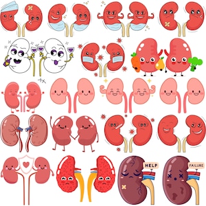 May include: A collection of cartoon kidney illustrations in various poses and expressions. Some kidneys are smiling, flexing, or wearing masks. Others appear sick or damaged, with text labels like "HELP" and "FAILURE".