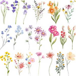 wildflower svg bundle, birth flower svg, floral svg clipart, botanical flower vector, minimalist floral line art, wildflower silhouette svg, cricut cut files, floral png bundle, boho flower svg, wildflower svg png, floral digital design, botanical svg bundle, wildflower clipart png, minimalist botanical vector, flower line art design, wildflower cricut svg, botanical png files, wildflower digital art, floral vector clipart, flower svg printable