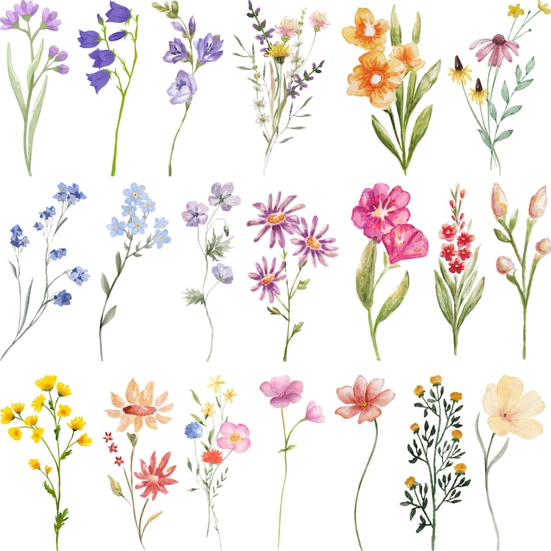 wildflower svg bundle, birth flower svg, floral svg clipart, botanical flower vector, minimalist floral line art, wildflower silhouette svg, cricut cut files, floral png bundle, boho flower svg, wildflower svg png, floral digital design, botanical svg bundle, wildflower clipart png, minimalist botanical vector, flower line art design, wildflower cricut svg, botanical png files, wildflower digital art, floral vector clipart, flower svg printable