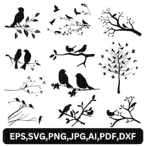 Paquete SVG de pájaro en rama, pájaros en árbol SVG, rama de árbol PNG, silueta de golondrina, bandada de pájaros SVG, imágenes prediseñadas de pájaros del amor, arte vectorial de la naturaleza