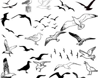 Zeemeeuw SVG-bundel, vliegende zeemeeuw clipart, oceaanvogels SVG, meeuwen clipart, strandvogels png, vogelsilhouet, zeemeeuw png, Cricut cut-bestand