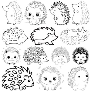 Hedgehog Svg Bundle, Cute Hedgehog Clipart, Woodland Animal Svg, Hedgehog Silhouette,Hedgehog Cut Files,Kawaii Hedgehog SVG,Cartoon Hedgehog