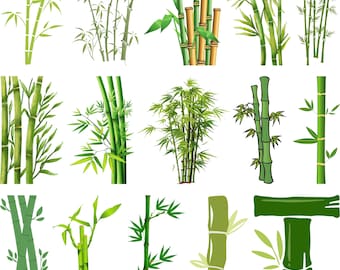 Paquete SVG de bambú, silueta de bambú, árbol de bambú SVG, archivo de corte de bambú para Cricut, vector de bambú, archivo de corte de bambú, clipart tropical PNG