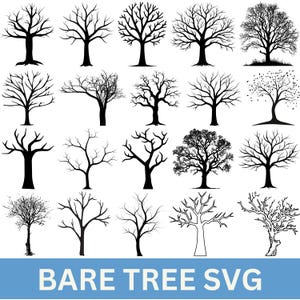 Bare Tree Svg Bundle, Leafless Tree svg, Rustic Tree svg, Tree Vector, Leafless Fall Trees Clipart, Bare Tree Silhouette, Forest tree svg,