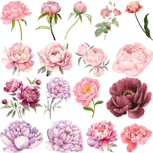Peony SVG Bundle, Peony Flower Svg, Peony Cut Files, Peony Vector Clipart, Peonies Bouquet SVG, Floral SVG, Peony Cricut Files, Png Eps