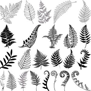 Fern Leaves Svg, Fern Clipart, Boho Svg, Botanical Silhouette, Fern Cut Files for Cricut, Tropical Leaves SVG, Botanical Fern SVG Bundle