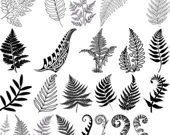Fern Leaves Svg, Fern Clipart, Boho Svg, Botanical Silhouette, Fern Cut Files for Cricut, Tropical Leaves SVG, Botanical Fern SVG Bundle
