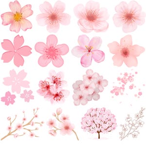 May include: A collection of watercolor illustrations of pink cherry blossoms in various stages of bloom. The image includes individual flowers, clusters, branches, and a full tree, all in shades of pink and white.