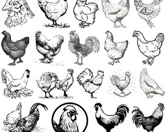 Chicken SVG Bundle, Chicken Cut Files Cricut, Rooster Silhouette Vector, Farm Chicken Clipart PNG, Funny Chicken Design SVG,