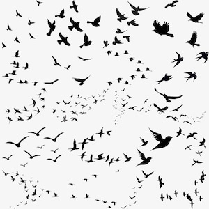 May include: A flock of black birds in silhouette against a white background. The birds are depicted in various sizes and positions, creating a dynamic and airy composition. The birds are flying in different directions.