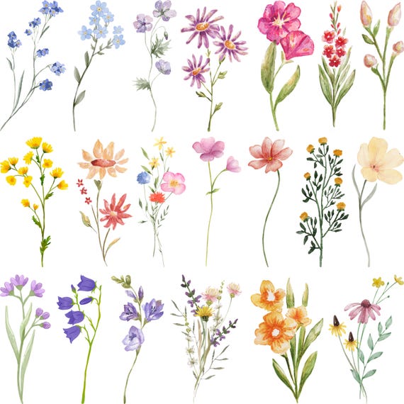Wildflower Svg Bundle, Birth Flower Svg, Wildflower Clipart, Wildflower Silhouette, Wildflower Clipart,        Minimalist Floral Clipart