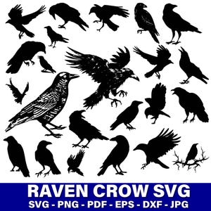Raven Svg Bundle, Crow Svg Cut Files, Raven Clipart, Crow Silhouette, Dark Raven PNG, Dark Gothic Bird SVG, Halloween Crow, Witchcraft Svg