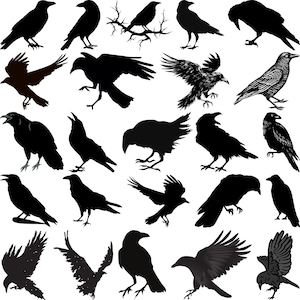 Raven Svg Bundle, Crow Svg Cut Files, Raven Clipart, Crow Silhouette, Dark Raven PNG, Dark Gothic Bird SVG, Halloween Crow, Witchcraft Svg