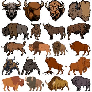 Bison SVG Bundle, Buffalo Silhouette SVG, Western Bison Clipart, Cricut Bison Cut Files, Bison Vector, Buffalo Head SVG, Outline