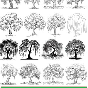 Willow Tree SVG Bundle, Weeping Willow Clipart, Willow Tree PNG, Tree Silhouette SVG, Willow Tree Cut Files for Cricut, Vector Willow Svg