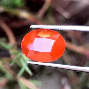 Puede incluir: Una gema facetada, de corte ovalado, en un vibrante tono naranja, sujeta con unas pinzas. Las superficies pulidas de la gema reflejan la luz, mostrando su claridad y brillo. El fondo está borroso, resaltando los detalles de la gema.