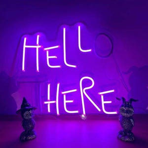 Puede incluir: Un letrero de neón con las palabras "Hello There" en letras de neón rosa sobre un fondo blanco. El letrero está iluminado y proyecta un brillo púrpura. Dos pequeñas figuras de búhos están en primer plano.
