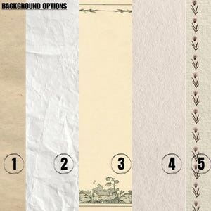 Pu&ograve; includere: Immagine che mostra cinque opzioni di sfondo. Le opzioni includono una superficie beige strutturata, un tessuto bianco stropicciato, una carta color crema con un'illustrazione di paesaggio, una superficie beige chiaro strutturata e un design a bordo floreale.