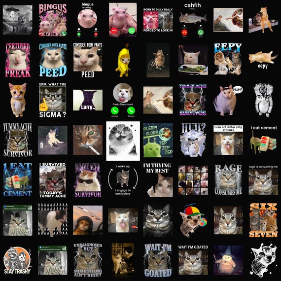 Cat Meme Png Bundle, Funny Cat Png, Crying Sad Cat,Sarcastic Meme PNG for, Viral Internet Humor, Commercial Use